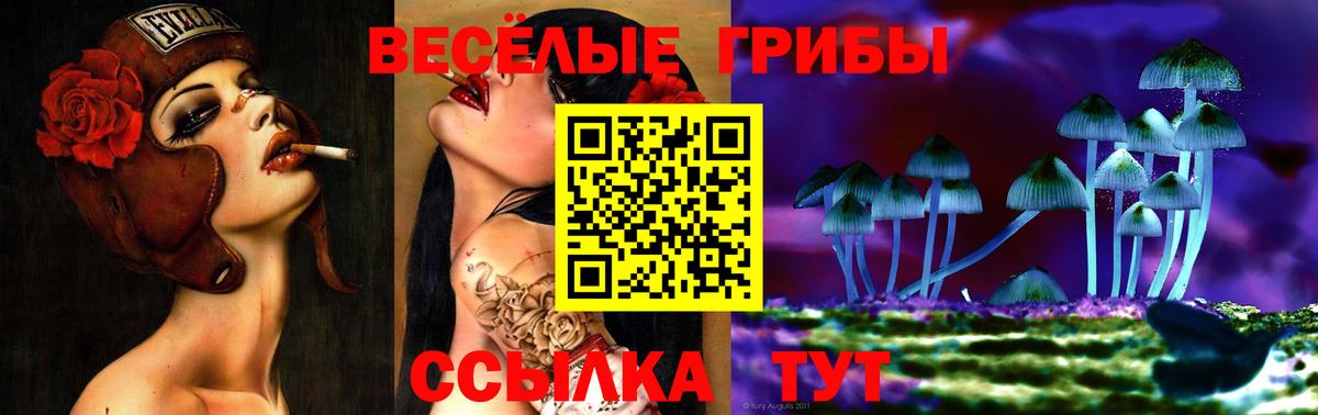 Калач-на-Дону  Галлюциногенные грибы MAGIC MUSHROOMS  где купить   Галлюциногенные грибы Magic Shrooms  Вход с VPN 